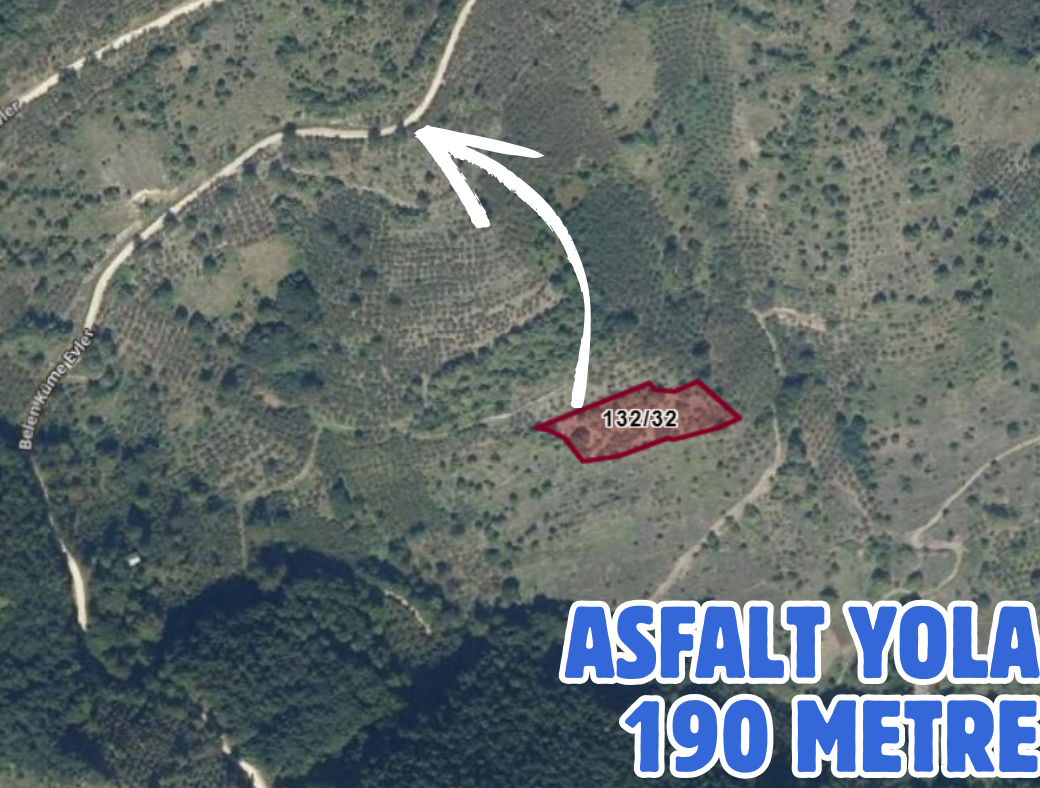 DÜZCE YIĞILCA HOCATMAN 2.469 M² TARLAMIZ SATILIKTIR - DÜZCE YIĞILCA fotoğraf 3